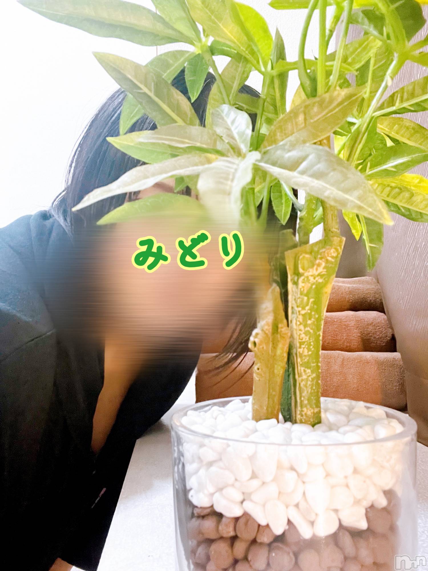 新潟メンズエステあろまえすて＠新潟(アロマエステアットニイガタ)翠＊みどり(37)の2026年3月15日写メブログ「次週の予定は」