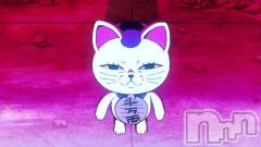 新潟メンズエステあろまえすて＠新潟(アロマエステアットニイガタ) 翠＊みどり(37)の12月22日写メブログ「発言には気をつけて🤣」