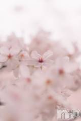 新潟メンズエステあろまえすて＠新潟(アロマエステアットニイガタ) 翠＊みどり(37)の4月12日写メブログ「本日珍事件ww」