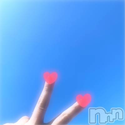 㡦ȯĥꥢ󥺥Ƥޤơ(ޥƥåȥ˥) ߤɤ(37)33̥֥ιλ