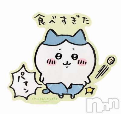 㡦ȯĥꥢ󥺥Ƥޤơ(ޥƥåȥ˥) ߤɤ(37)911ֵ̥֥㤭(ء`)