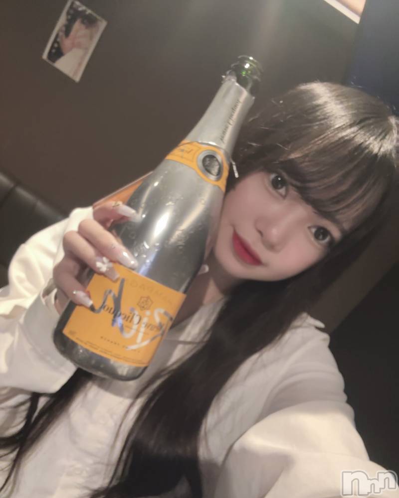 ʥå륺СLAPLUS(ץ饹) ߤʤߤ620̥֥֤Τޤ❣️
