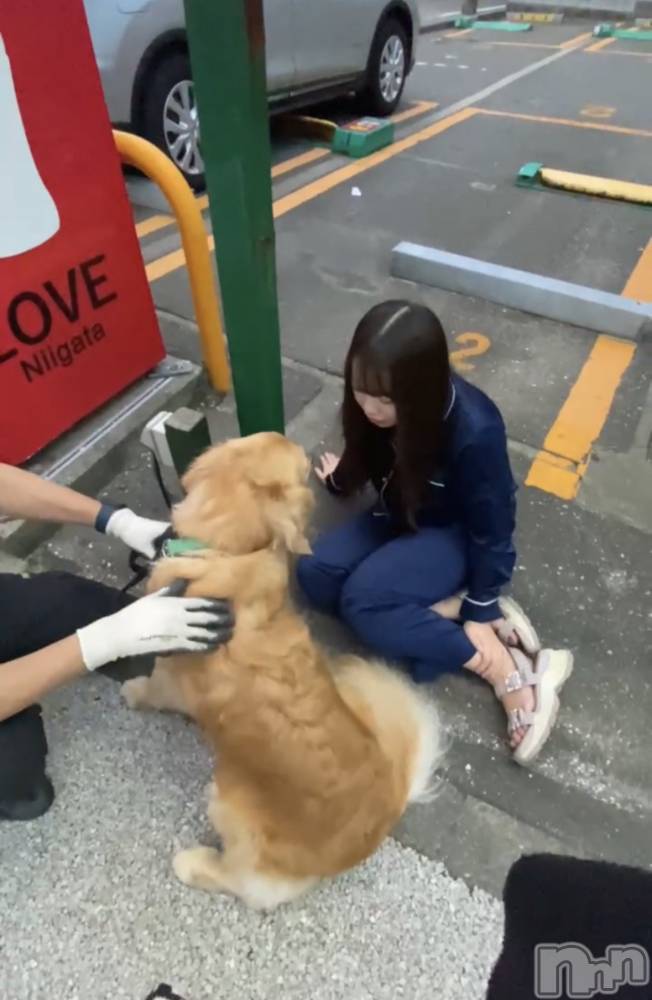 ʥå륺СLAPLUS(ץ饹) ߤʤߤ103̥֥֤̤ä🐾