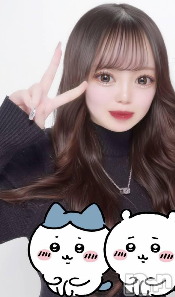 ʥå륺СLAPLUS(ץ饹) ߤʤߤ227̥֥֡500