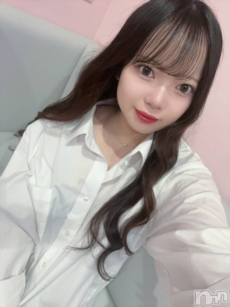 ʥå륺СLAPLUS(ץ饹) ߤʤߤ87̥֥֤⤲ȤΤ餻