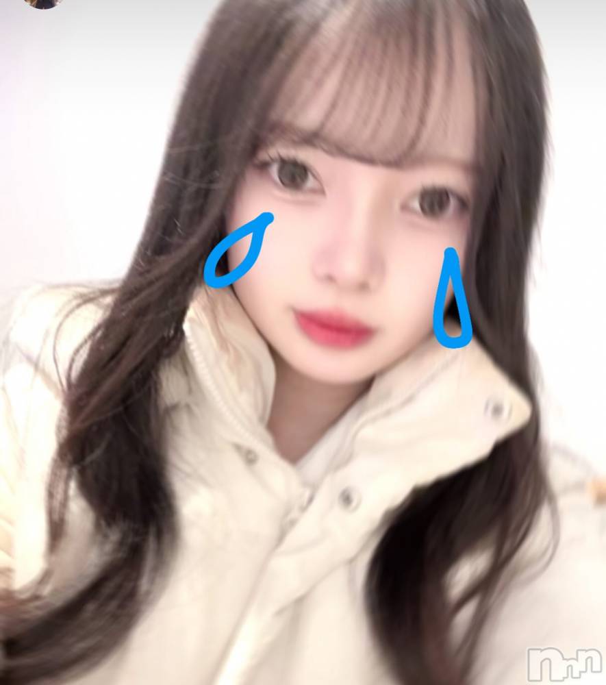 ʥå륺СLAPLUS(ץ饹) ߤʤߤ213̥֥֤ߤƤߤơ