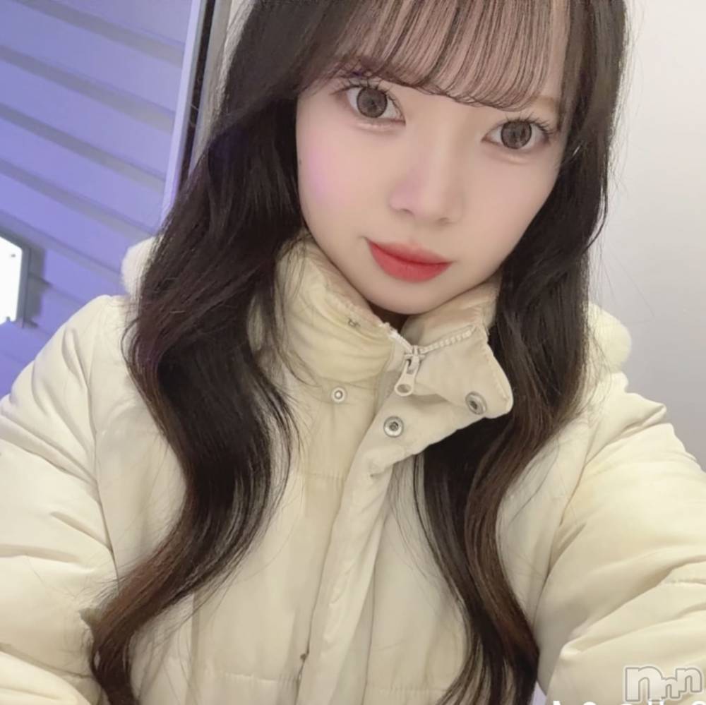 ʥå륺СLAPLUS(ץ饹) ߤʤߤ41ֵ̥֥ʬ