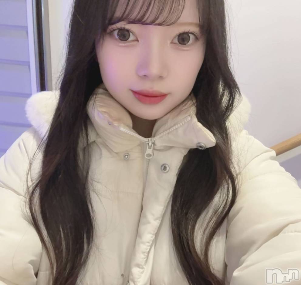ʥå륺СLAPLUS(ץ饹) ߤʤߤ48̥֥䤷