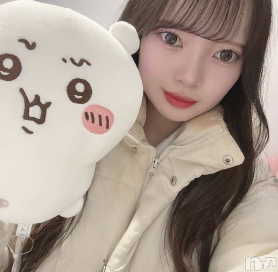 ʥå륺СLAPLUS(ץ饹) ߤʤߤ411̥֥֤Ϥʤ