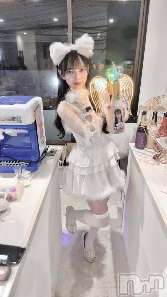 ʥå륺СLAPLUS(ץ饹) ߤʤߤ115̥֥Halloween- ̗̀ 🎃  ̖́-