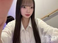 ʥå륺СLAPLUS(ץ饹) ߤʤߤ519̥֥ͽ