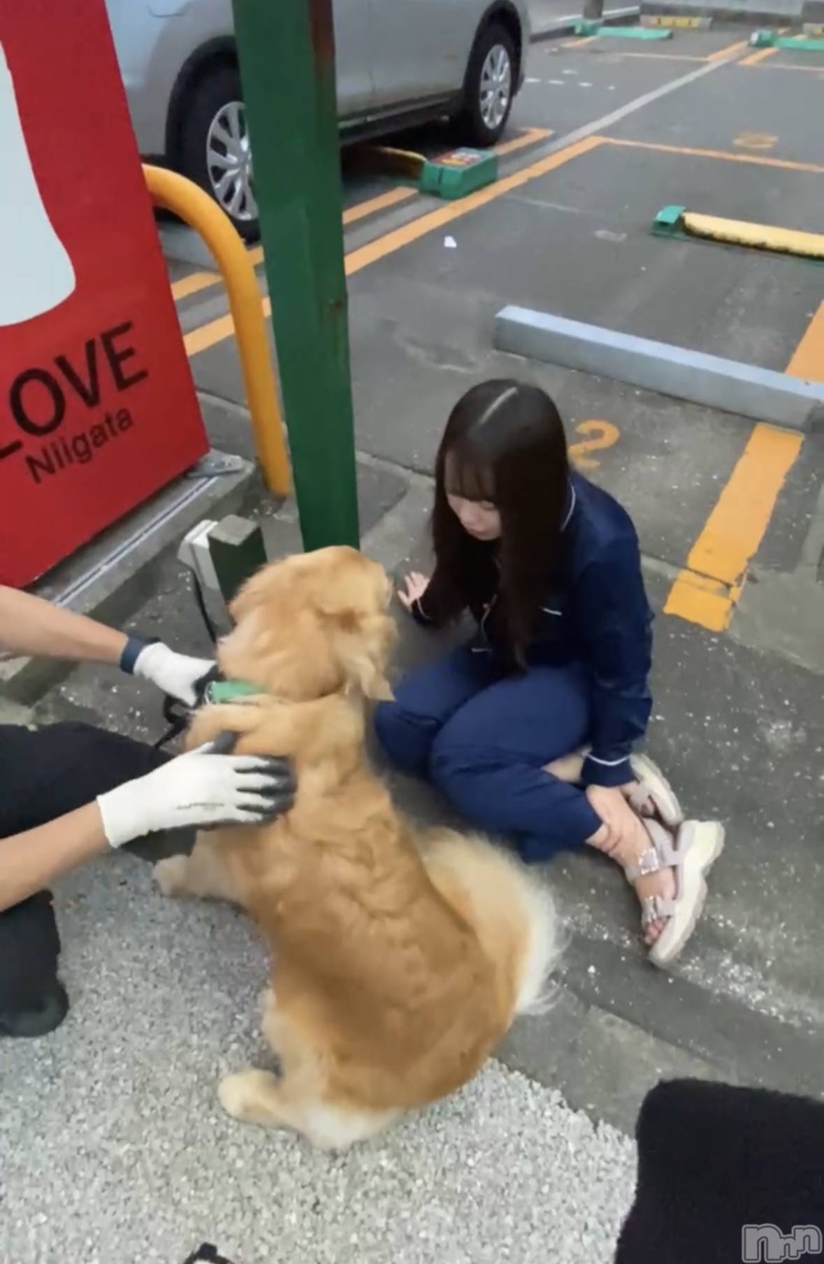 ʥå륺СLAPLUS(ץ饹) 2023ǯ103̥֥֤̤ä🐾