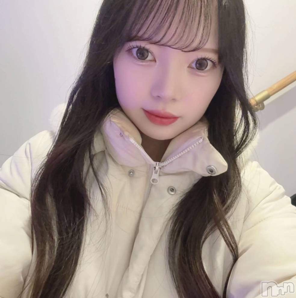 ʥå륺СLAPLUS(ץ饹) 2025ǯ412ָ̥֥