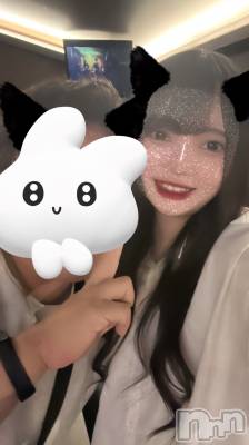 ʥå륺СLAPLUS(ץ饹) ߤʤߤ511̥֥ϡ