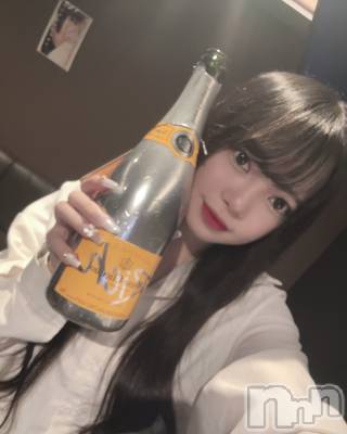 ʥå륺СLAPLUS(ץ饹) ߤʤߤ620̥֥֤Τޤ❣️