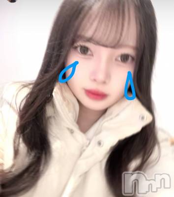 ʥå륺СLAPLUS(ץ饹) ߤʤߤ213̥֥֤ߤƤߤơ