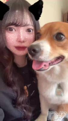 ҤǤݤݤ