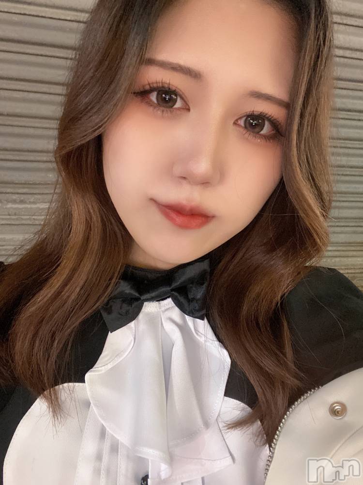 ʥå륺СLAPLUS(ץ饹) ʤ427̥֥ϡ