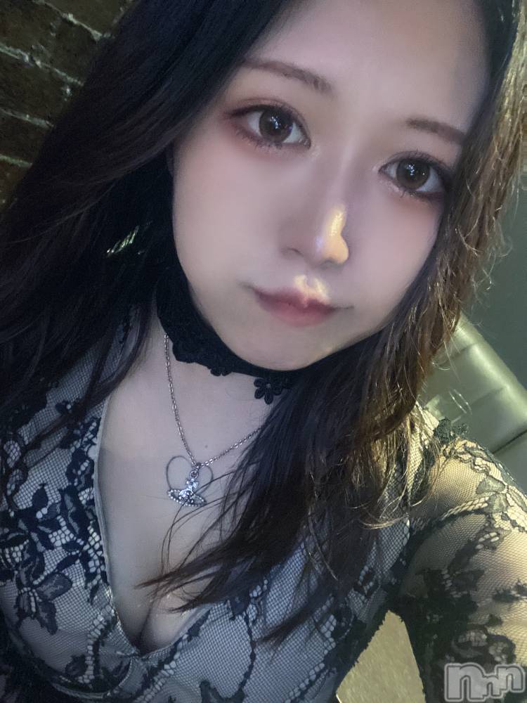 ʥå륺СLAPLUS(ץ饹) ʤ79̥֥֤Τ餻Ǥ🖤