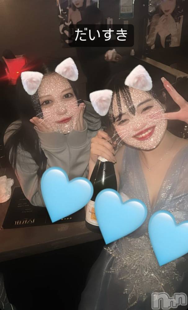 ʥå륺СLAPLUS(ץ饹) ʤ1214̥֥1/365