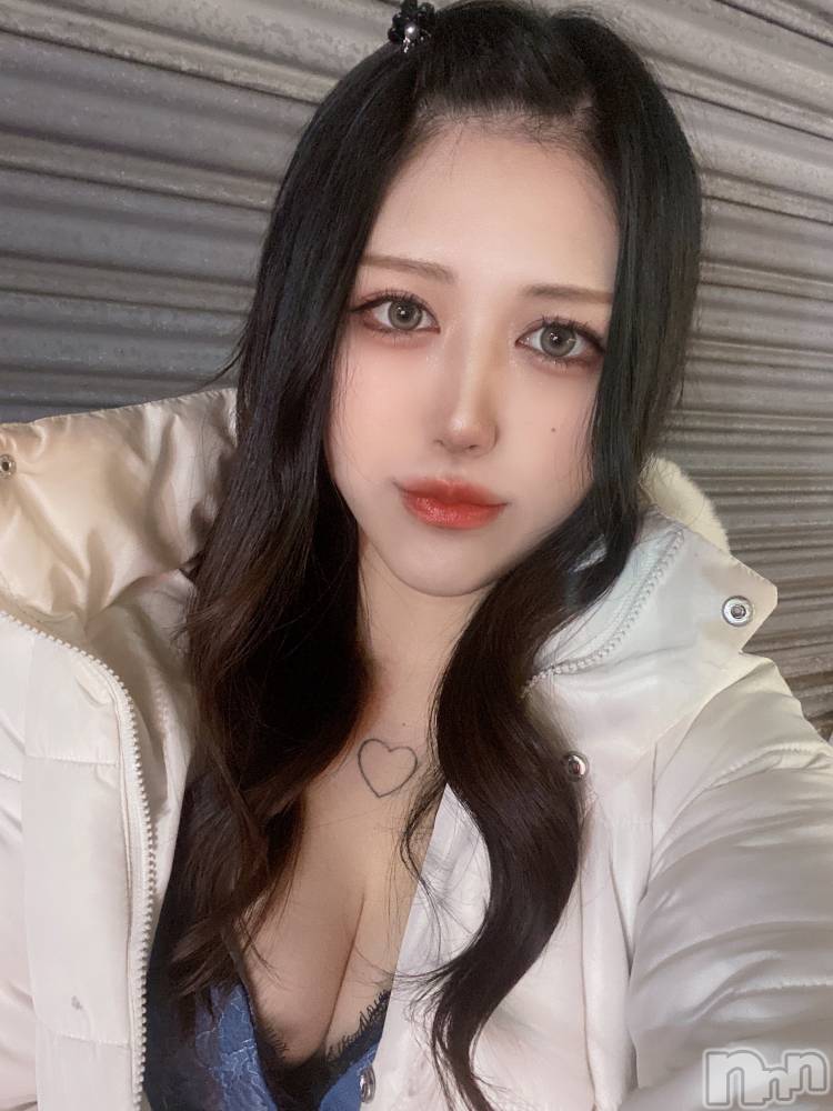ʥå륺СLAPLUS(ץ饹) ʤ224ֹ̥֥ˡ