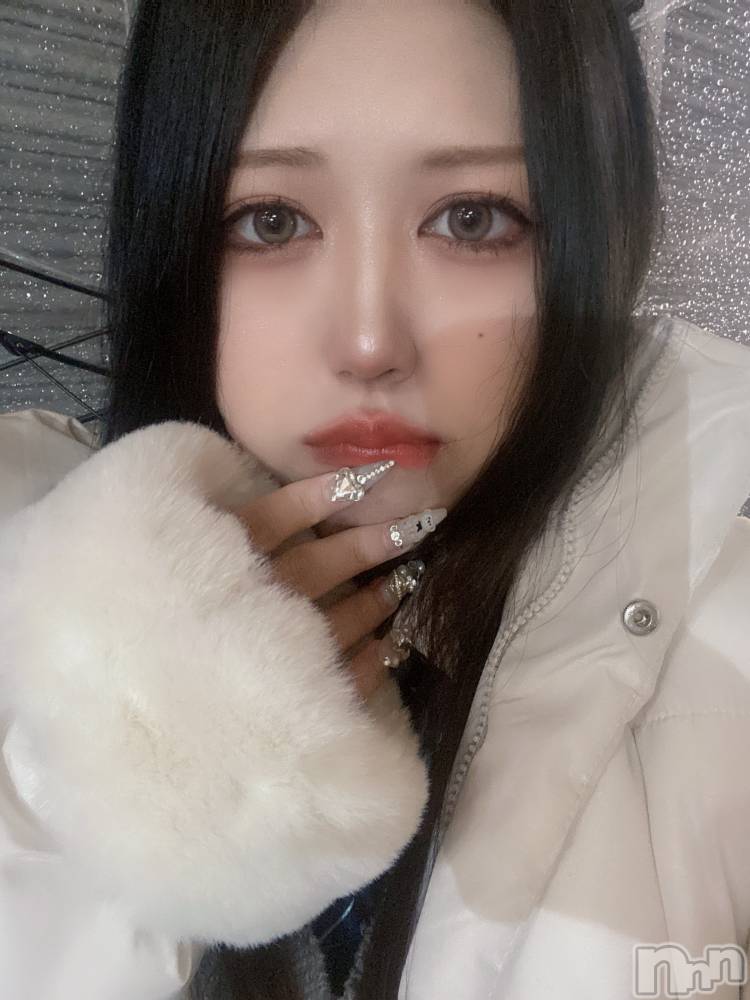ʥå륺СLAPLUS(ץ饹) ʤ225̥֥֤ѤѤ