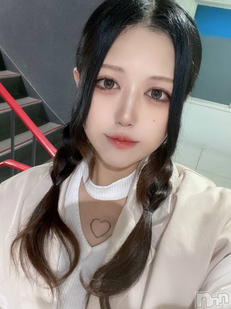 ʥå륺СLAPLUS(ץ饹) ʤ310ּ̥֥ιˤ