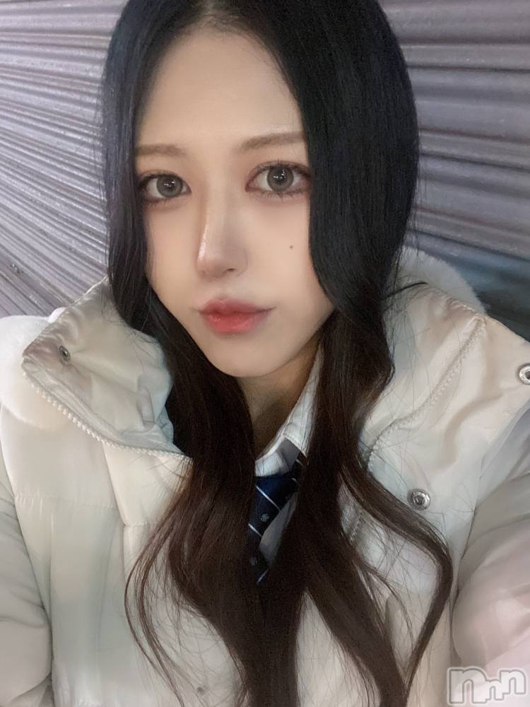 ʥå륺СLAPLUS(ץ饹) ʤ311̥֥֤ΤȤǤʤ