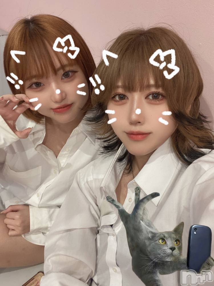 ʥå륺СLAPLUS(ץ饹) ޤʤ88̥֥֥ץꤳ