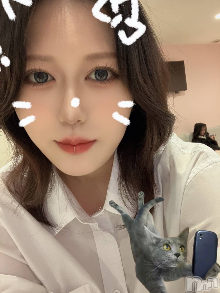 ʥå륺СLAPLUS(ץ饹) ʤ49ֲ̥֥ȻԤäƤߤ