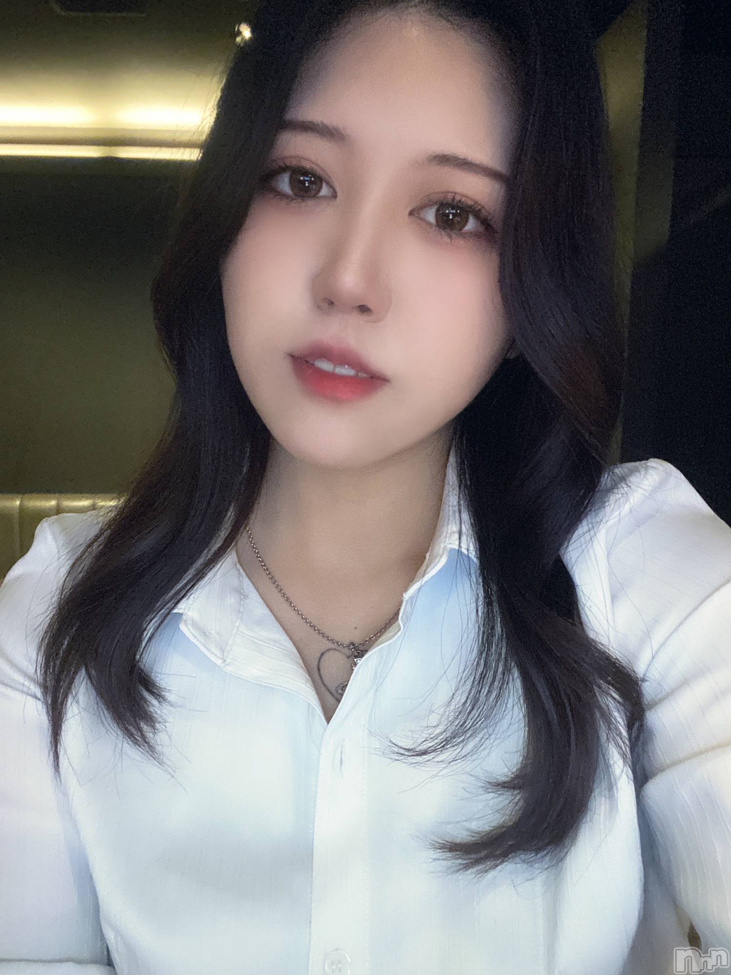ʥå륺СLAPLUS(ץ饹) 2023ǯ66ַ̥֥ɤΤȤФ