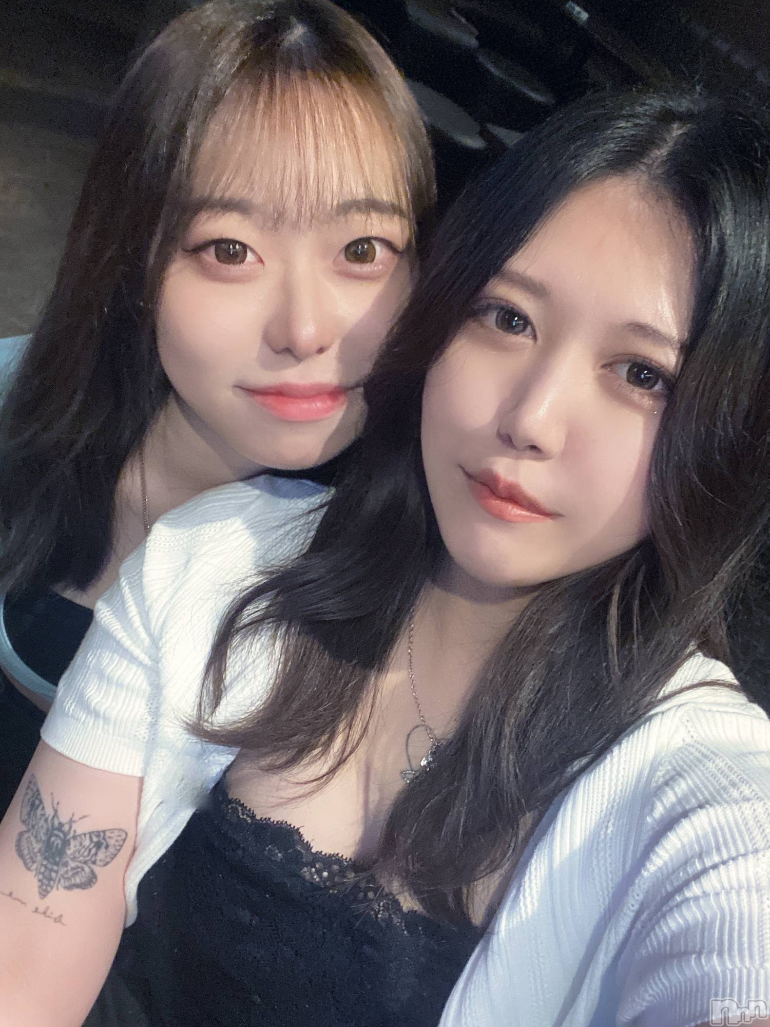 ʥå륺СLAPLUS(ץ饹) 2023ǯ726̥֥索Х