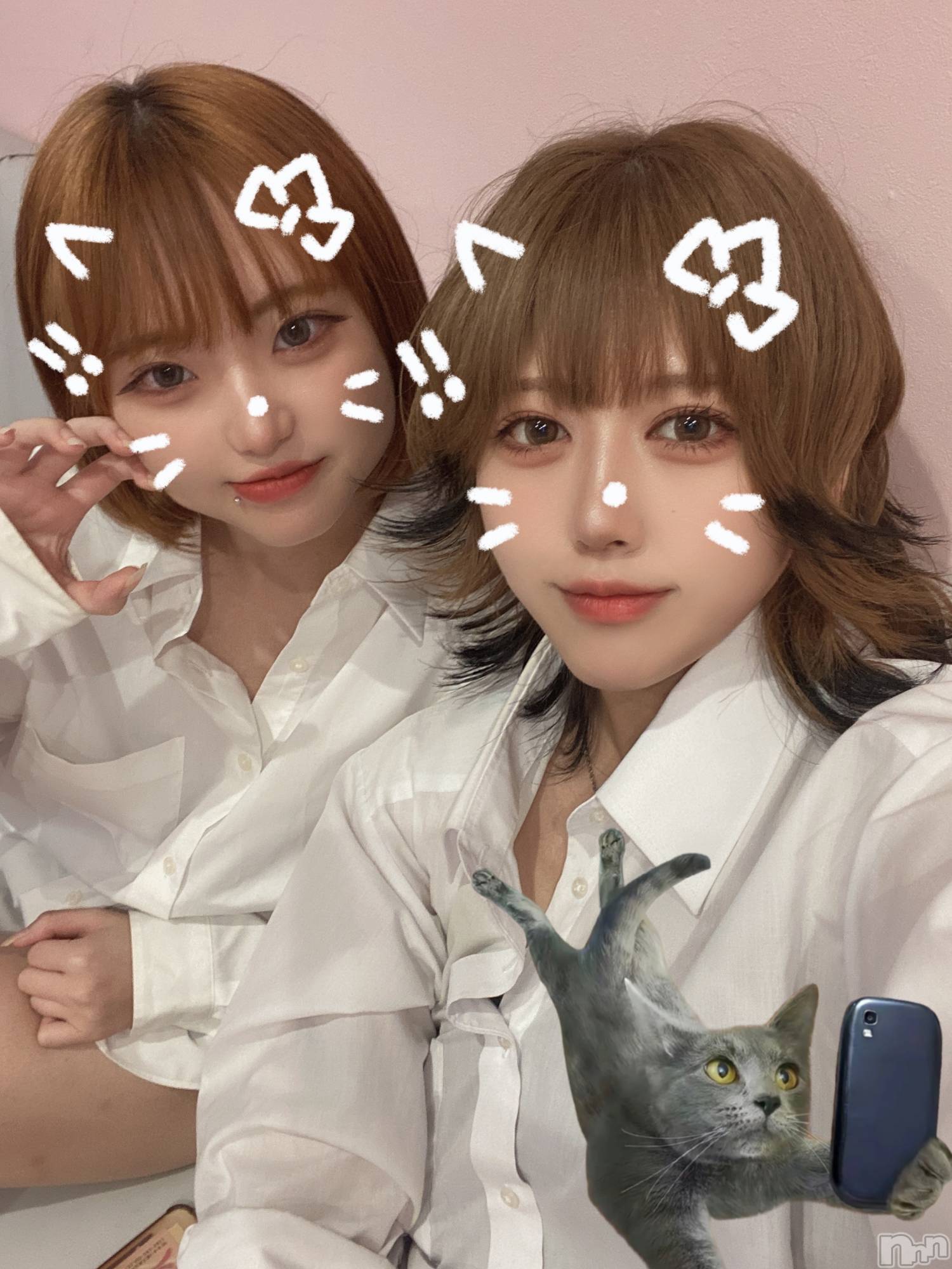 ʥå륺СLAPLUS(ץ饹) 2024ǯ88̥֥֥ץꤳ