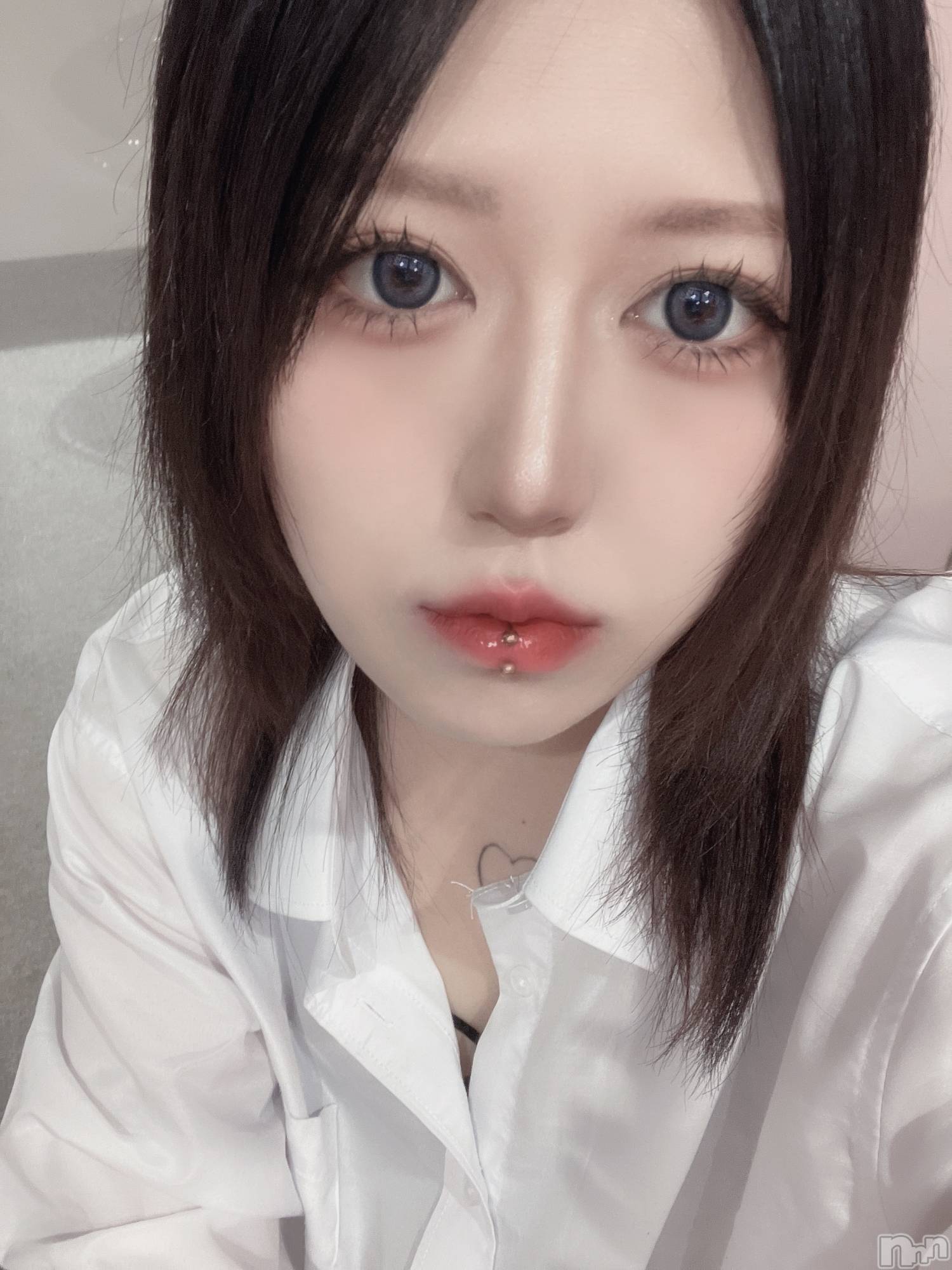 ʥå륺СLAPLUS(ץ饹) 2025ǯ413̥֥֡ڵ۸껶
