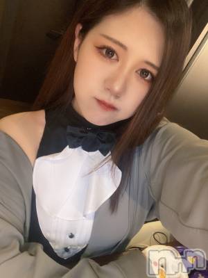 ʥå륺СLAPLUS(ץ饹) ʤ46̥֥֤ܡ
