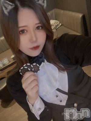 ʥå륺СLAPLUS(ץ饹) ʤ414ַ̥֥楢륳ǻ2000%