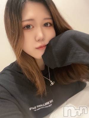 ʥå륺СLAPLUS(ץ饹) ʤ511̥֥֥ե
