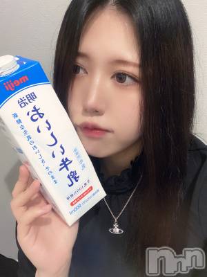 ʥå륺СLAPLUS(ץ饹) ʤ529̥֥MVP