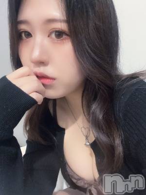 ʥå륺СLAPLUS(ץ饹) ʤ617̥֥֤