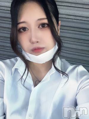 ʥå륺СLAPLUS(ץ饹) ʤ621̥֥ݤʤ