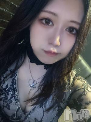 ʥå륺СLAPLUS(ץ饹) ʤ79̥֥֤Τ餻Ǥ🖤