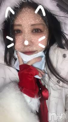 ʥå륺СLAPLUS(ץ饹) ʤ1222̥֥֥ǥ