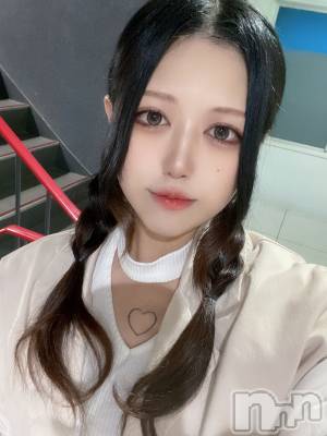 ʥå륺СLAPLUS(ץ饹) ʤ310ּ̥֥ιˤ