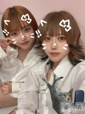 ʥå륺СLAPLUS(ץ饹) ʤ88̥֥֥ץꤳ