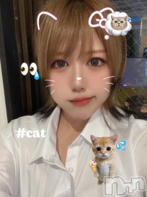 ʥå륺СLAPLUS(ץ饹) ʤ821̥֥֤㤫ʡ