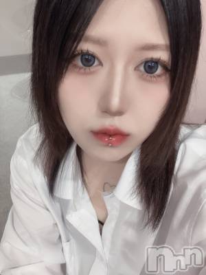 ʥå륺СLAPLUS(ץ饹) ʤ413̥֥֡ڵ۸껶