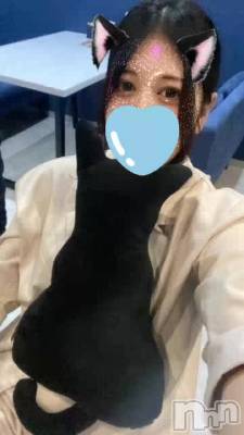 ͤͤˤˤ