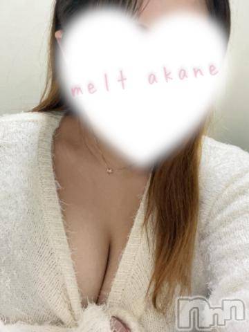 新潟風俗エステMelt(メルト)あかね(18)の2024年1月23日写メブログ「出勤したよ🧸🩵」