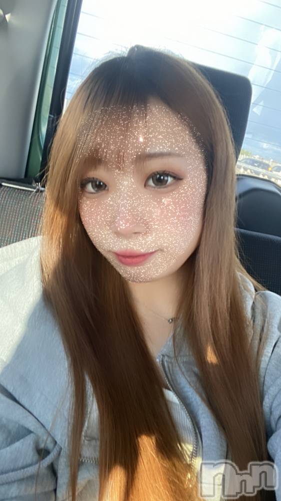 ʥå륺СLAPLUS(ץ饹) ꤨ222̥֥֥Сǡ🎂
