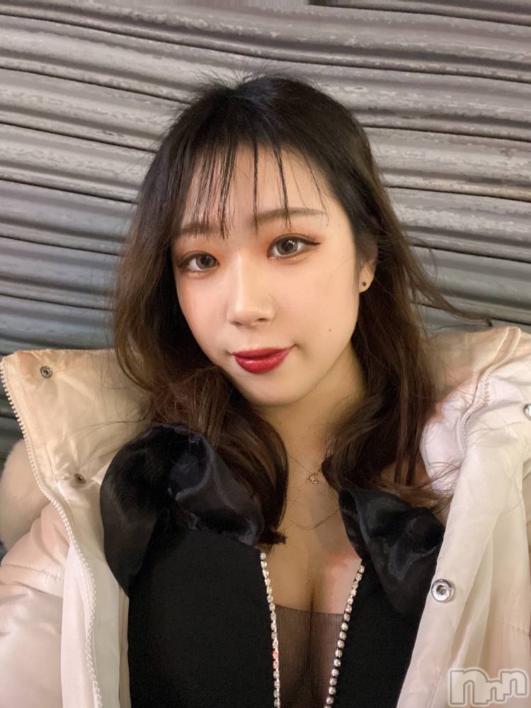 ʥå륺СLAPLUS(ץ饹) ꤨ224̥֥֤ޤ
